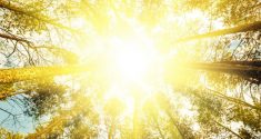 Daily Exposure to Bright Light Protects Heart Health