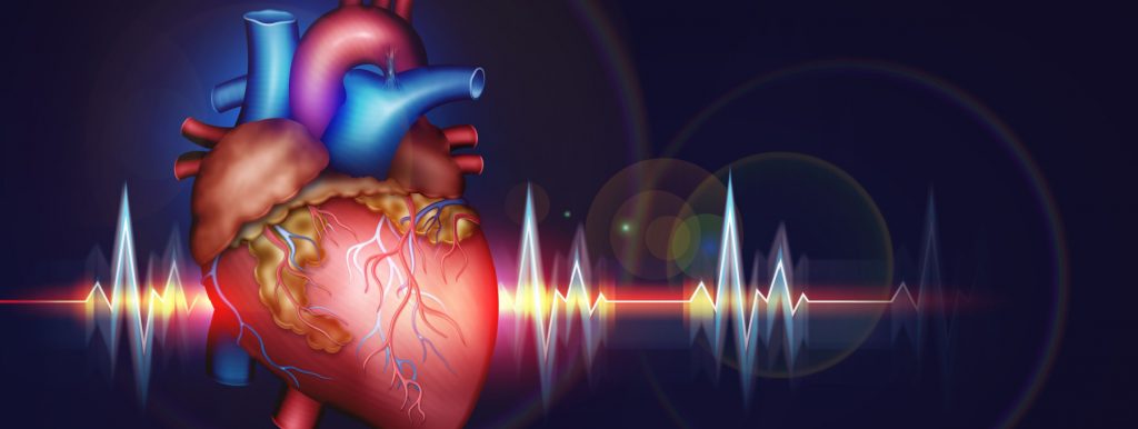 Scientists discover a gene that controls scarring in the diseased heart